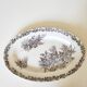Dish bindweed Pexonne
