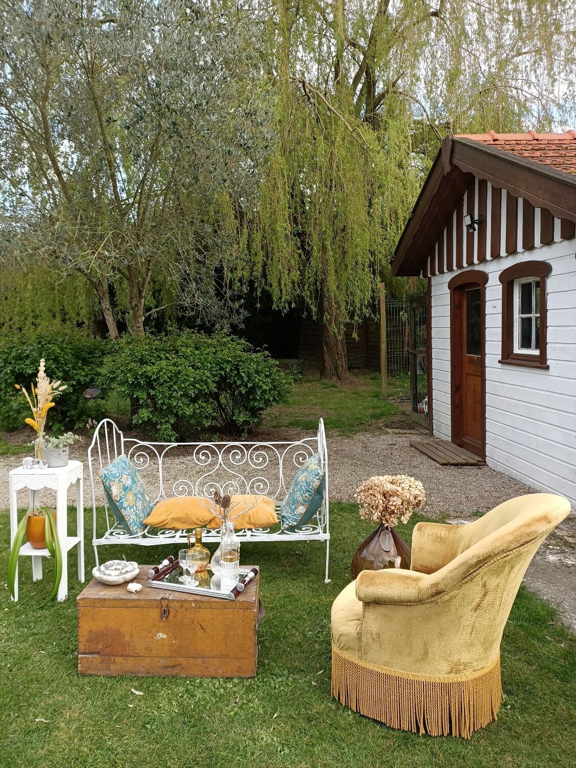 Velvet toad armchair