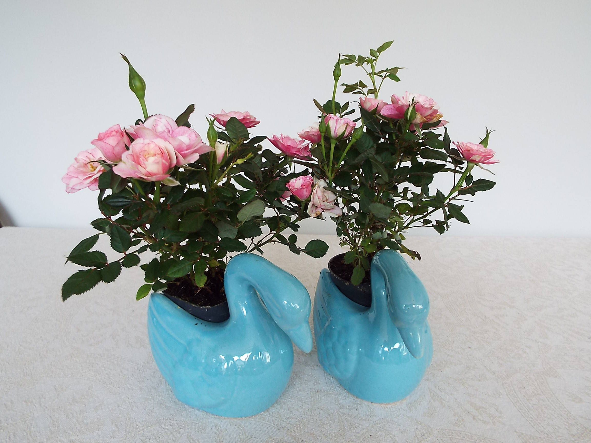 Swan pot covers