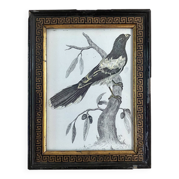 Zoological engraving 1808, 19th-century wooden frame