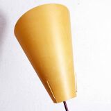Modernist carbon floor lamp