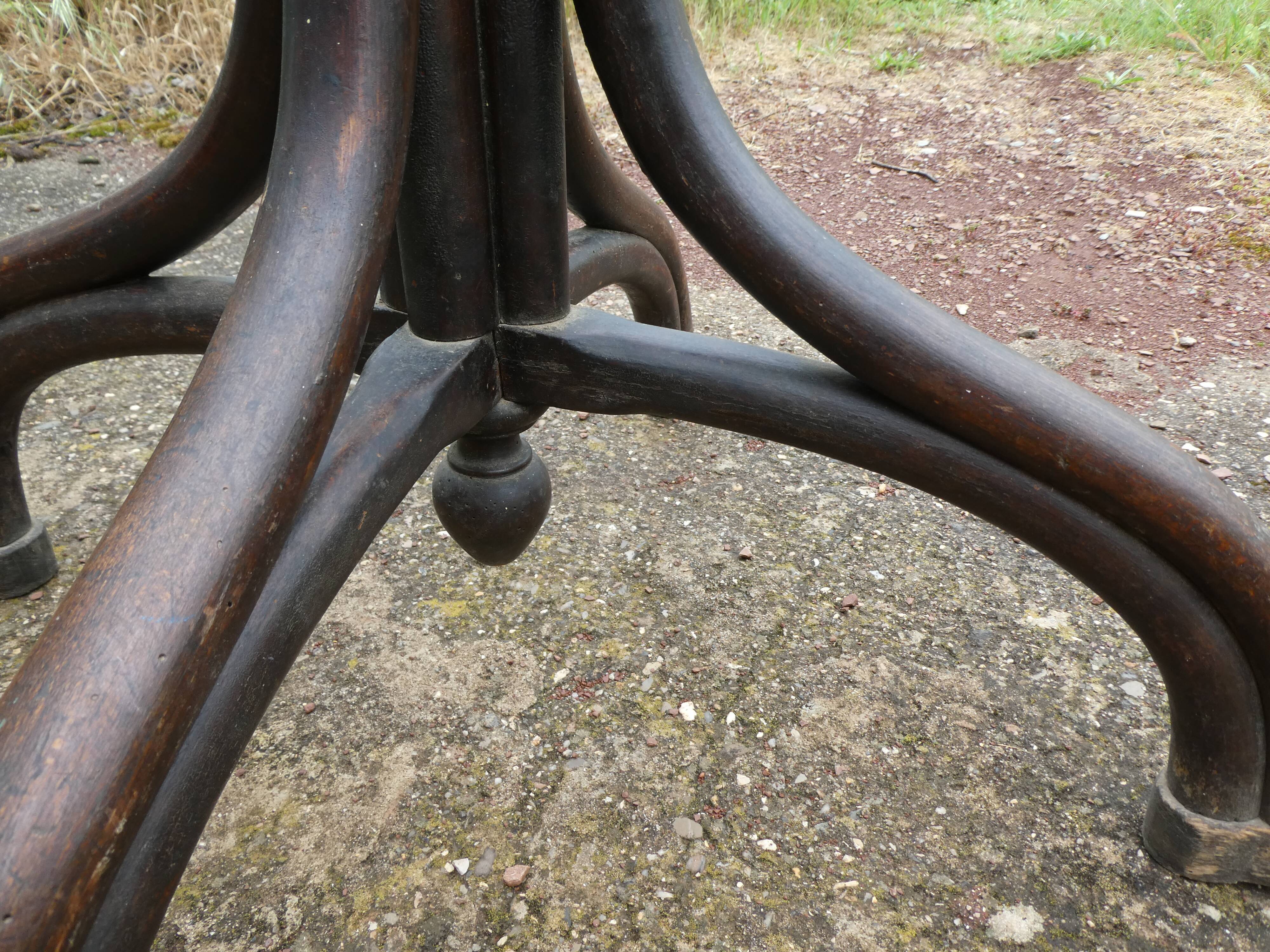 Parrot coat holder in curved wood - Art Nouveau