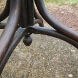 Parrot coat holder in curved wood - Art Nouveau