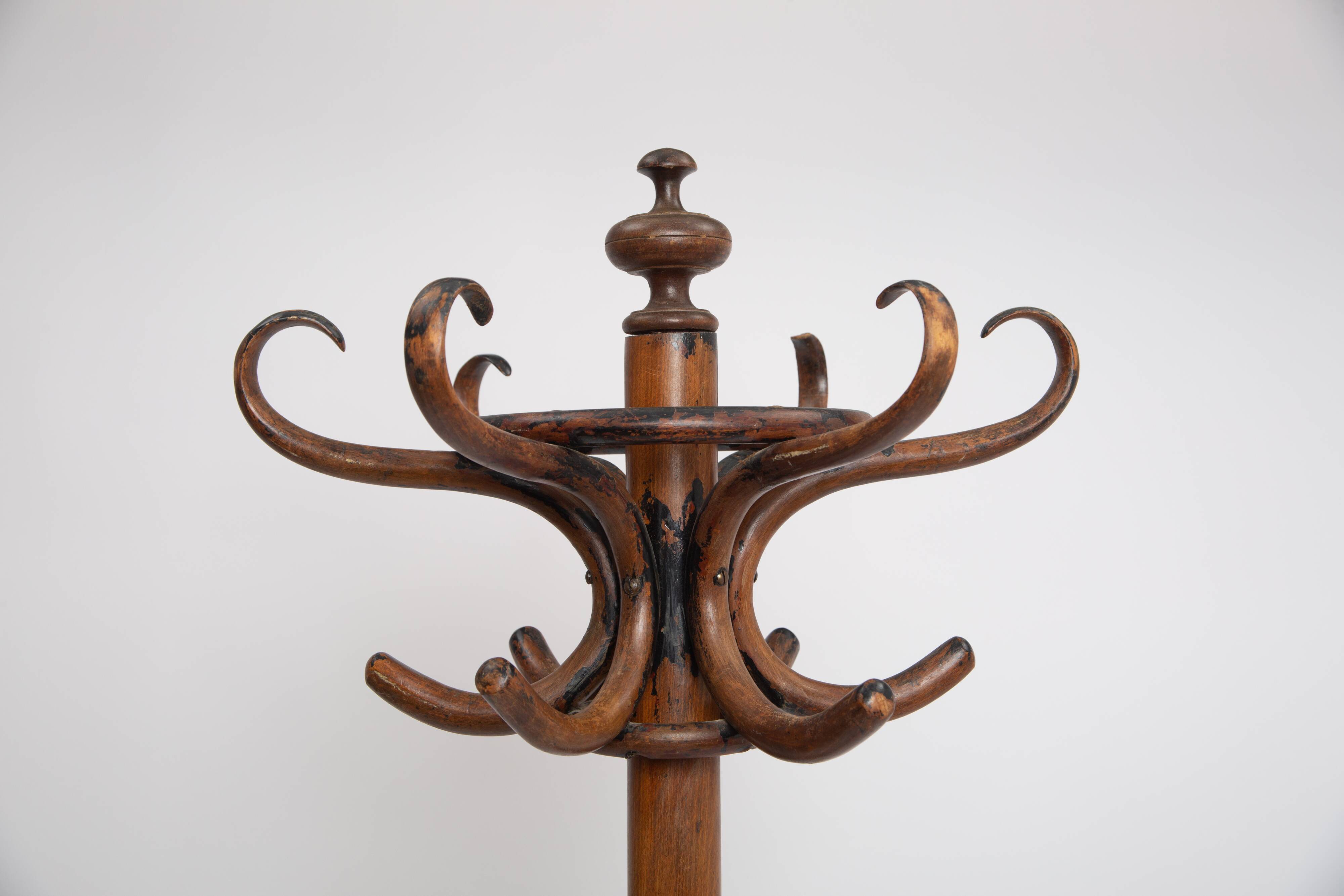 Coat rack parrot curved wood 1900