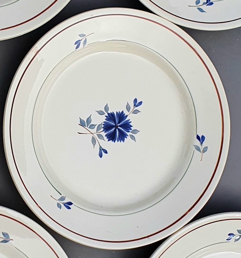 Lot of 6 flat plates in blueberry decor