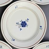 Lot of 6 flat plates in blueberry decor