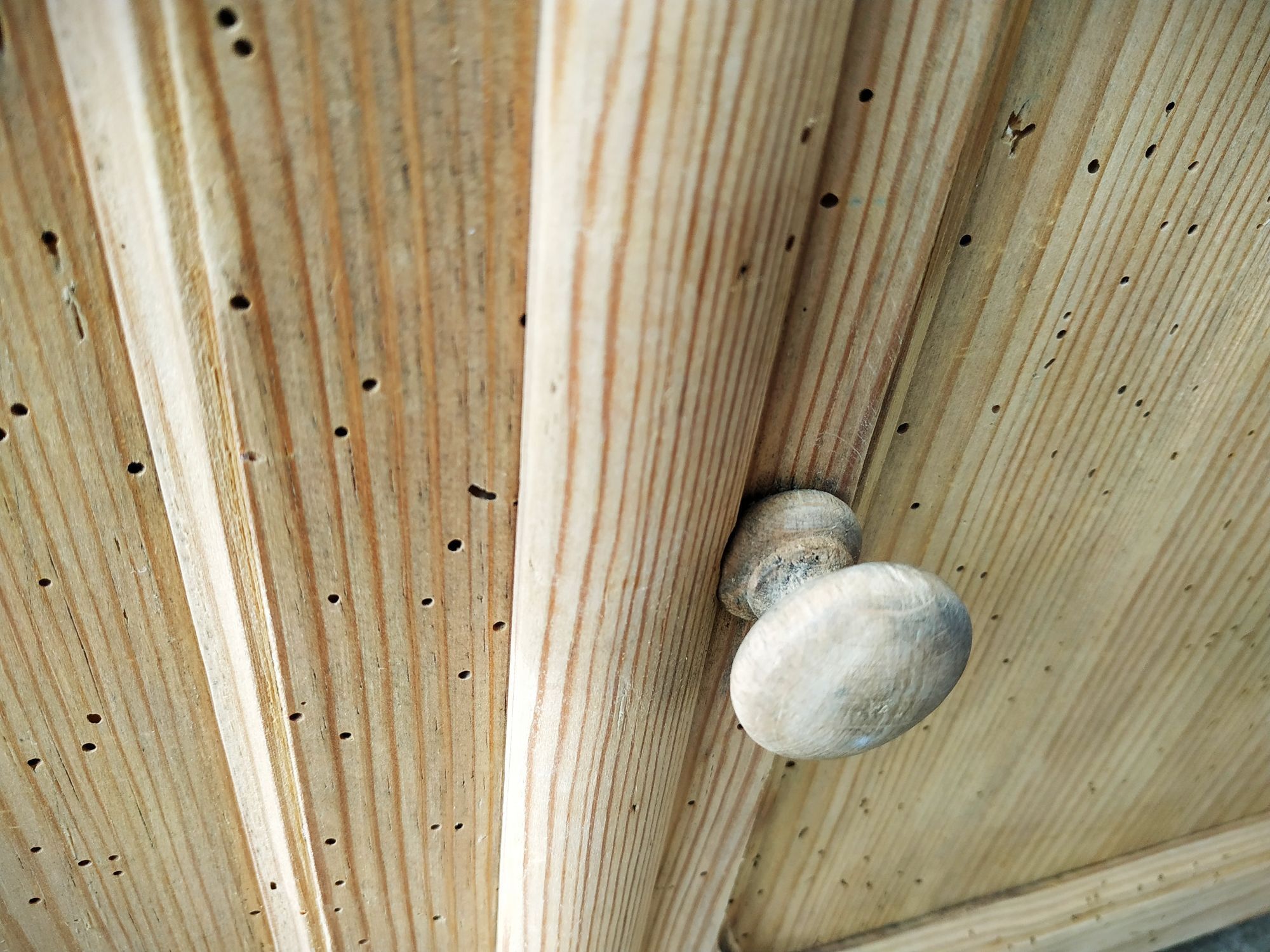 Small old tree closet