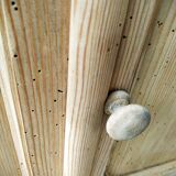 Small old tree closet