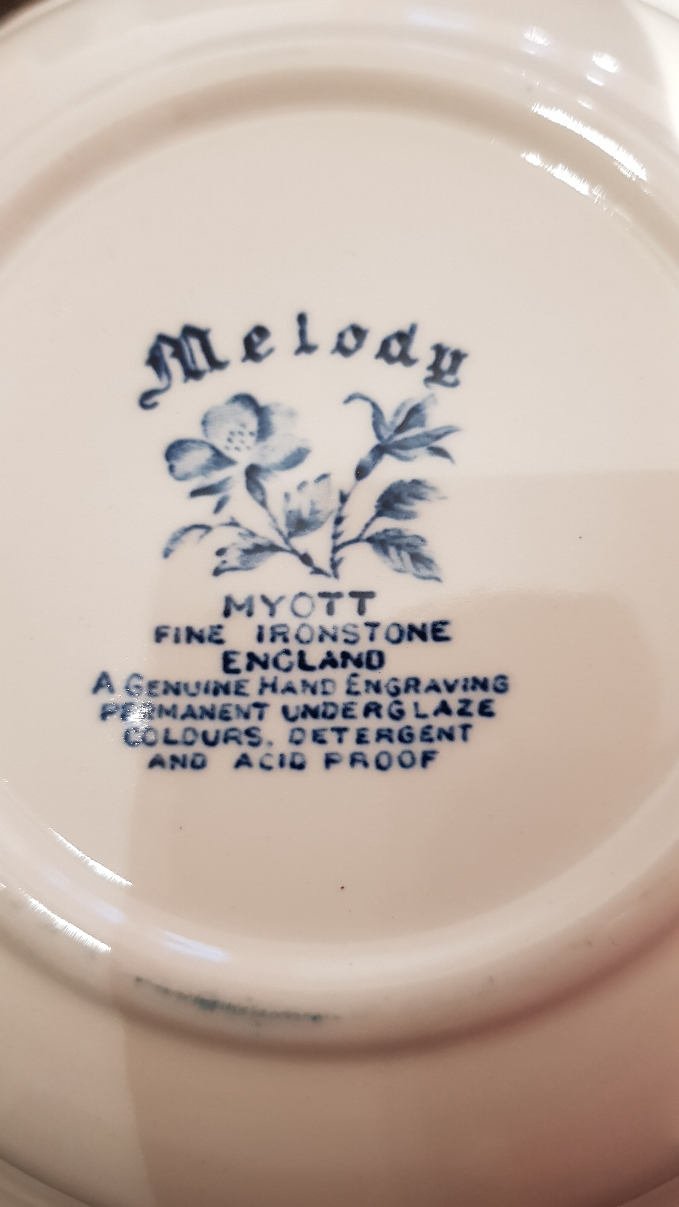 Salad with 6 Melody myott blue cups