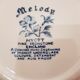 Salad with 6 Melody myott blue cups