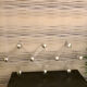 Porte manteau plexi