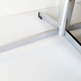 Coffee table in 1960 1970 vintage horses plastic resin & chrome 60's 70's