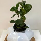 XL octagonal ceramic vase