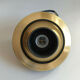 Spot Sische in solid brass