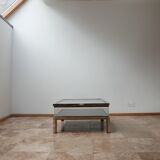 French mid-century vitrine coffee table
