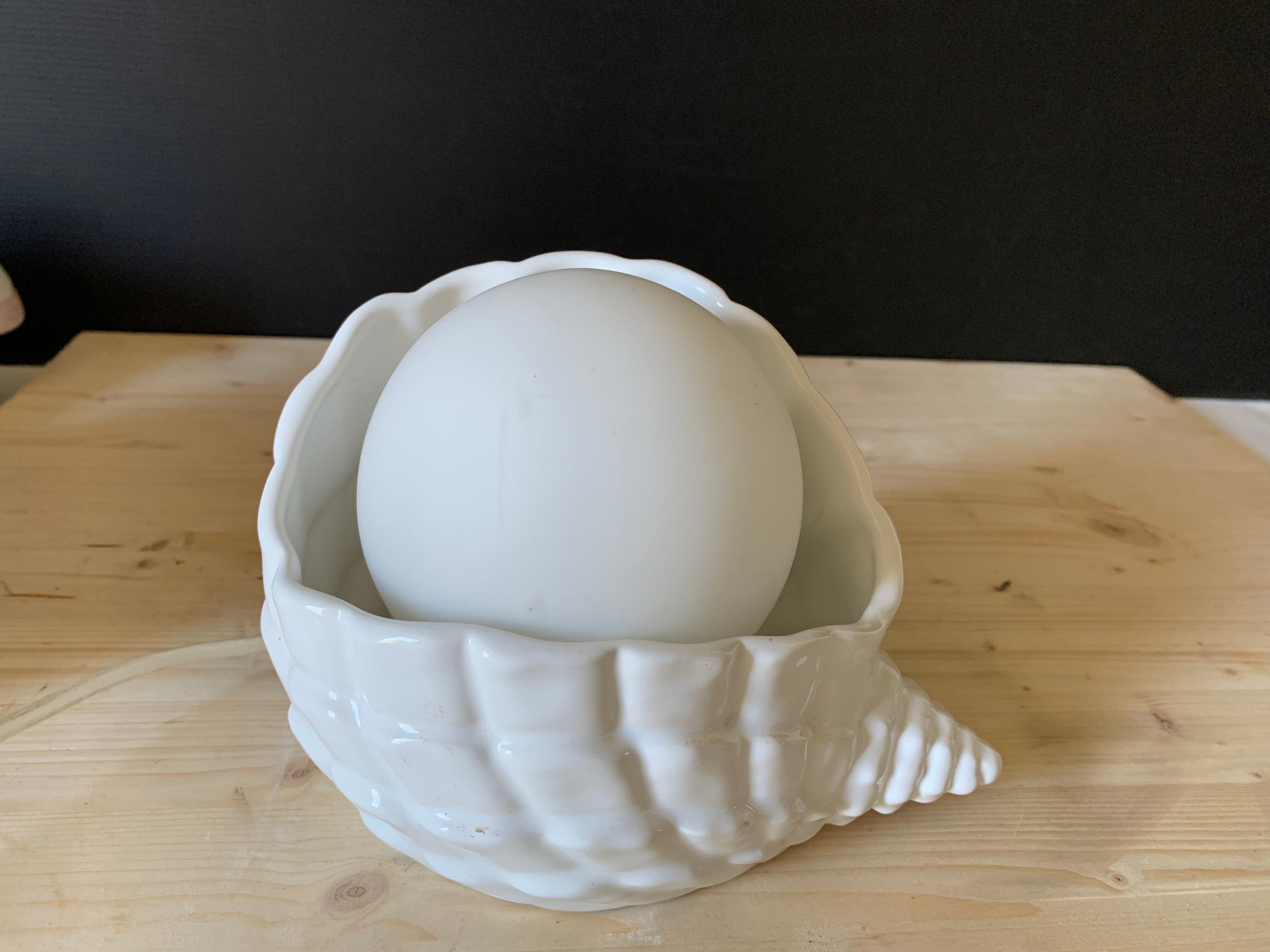 Shell lamp