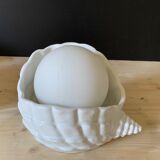 Shell lamp