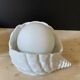Shell lamp