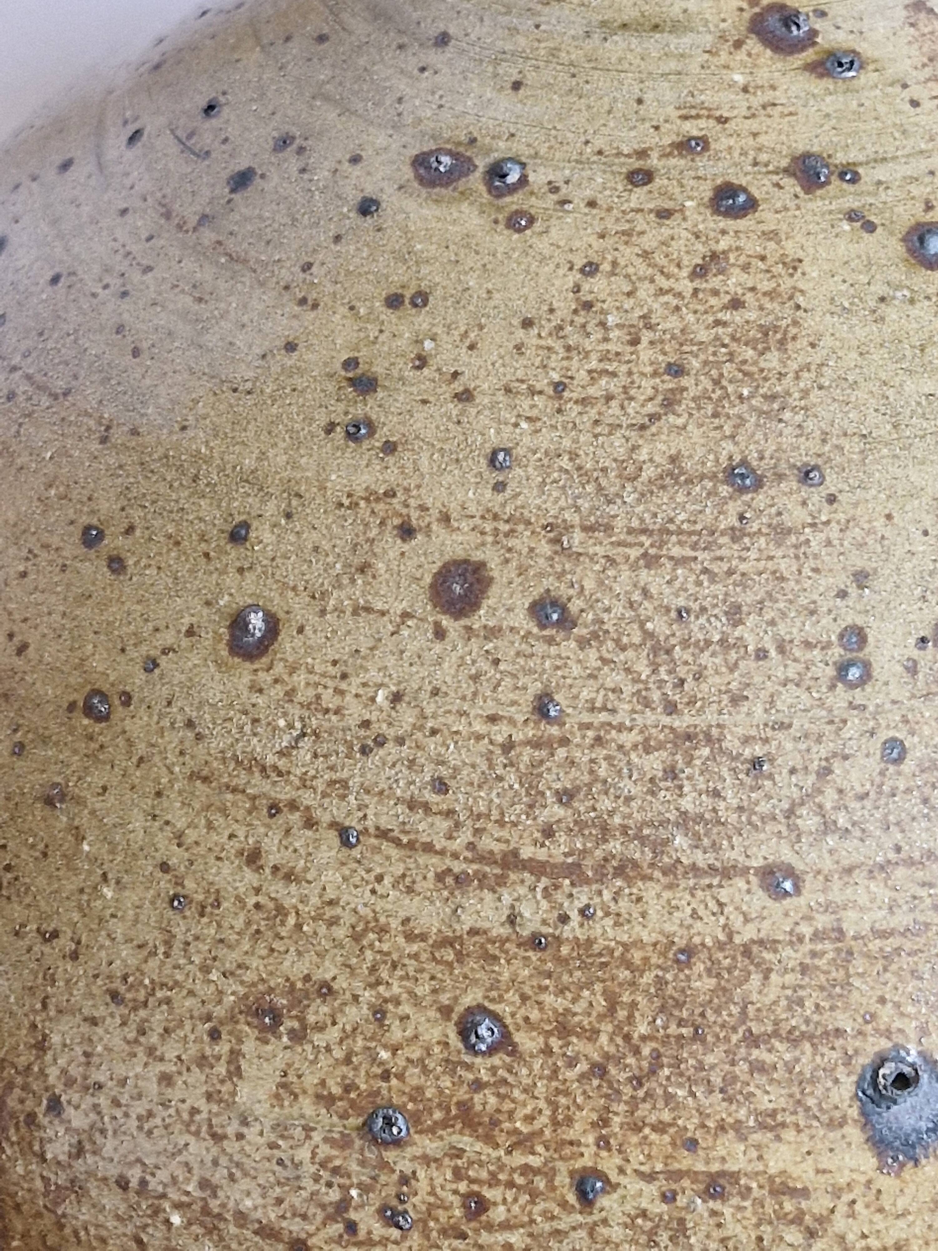 Pyrite sandstone lamp base