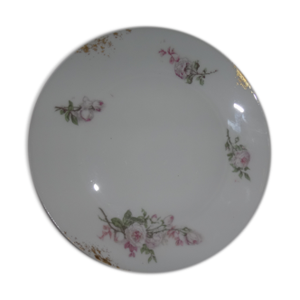 Small collectible plate