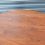 Baumann extension table
