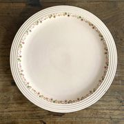 Flat plates Longwy model Betty