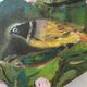 Oil painting still life of a goldfinch.