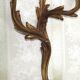 Apply two bronze wall lights decorated with acanthus leaves.
