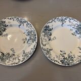 Two flat plates Terre de fer Saint-Amand