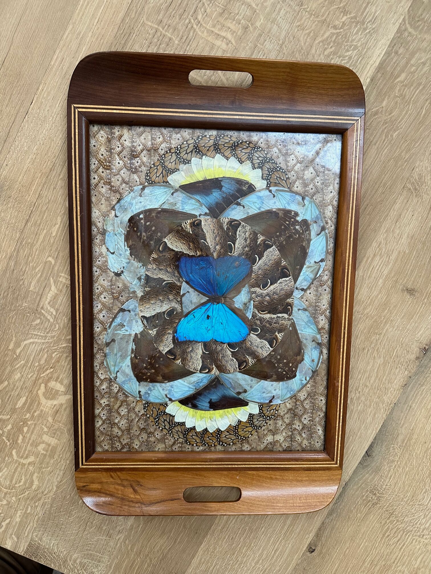 Inlaid top in exotic wood and butterfly wing decorations