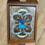 Inlaid top in exotic wood and butterfly wing decorations