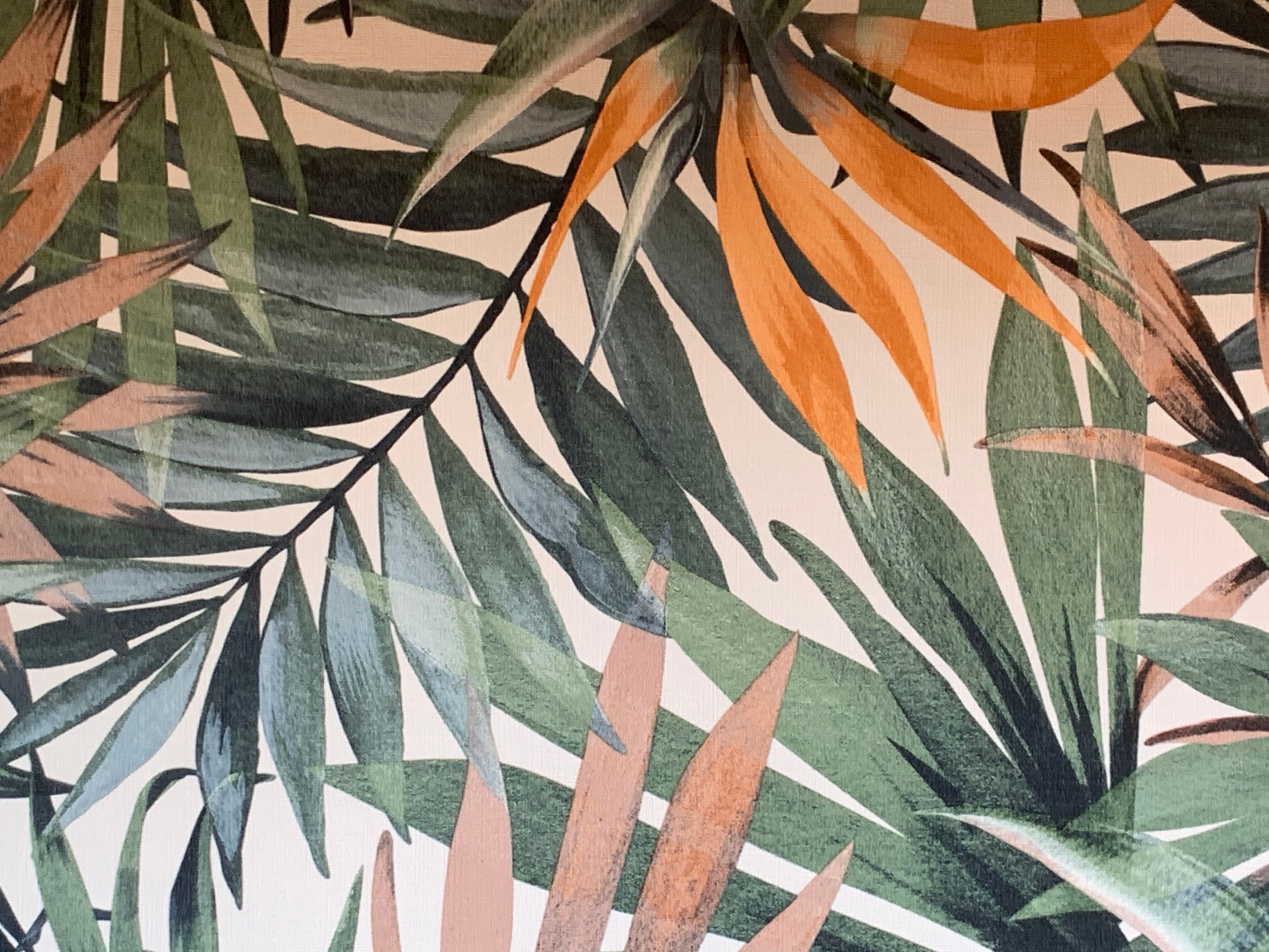 Glass cabinet from a primary school, 1950.