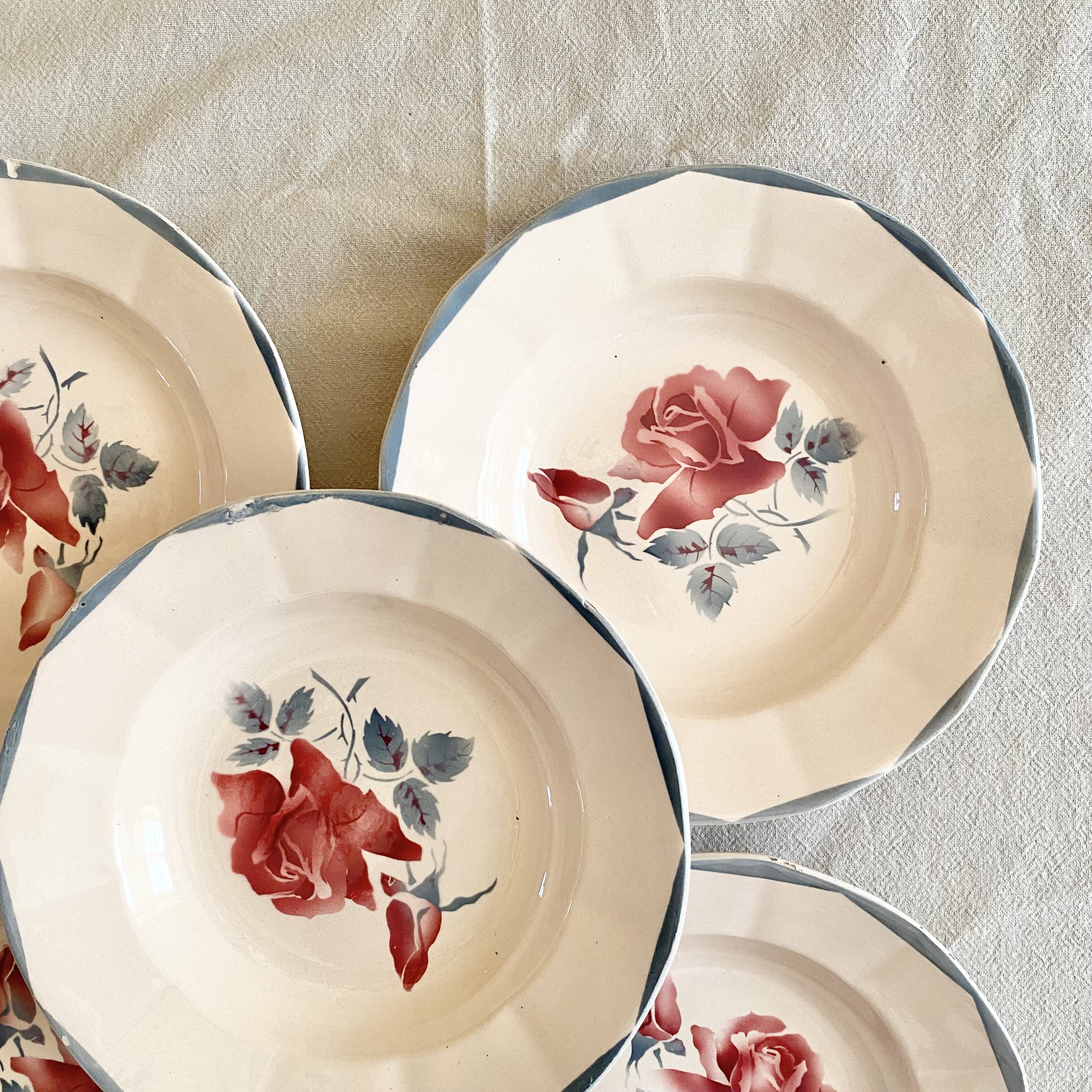 Digouin iron earth soup plates