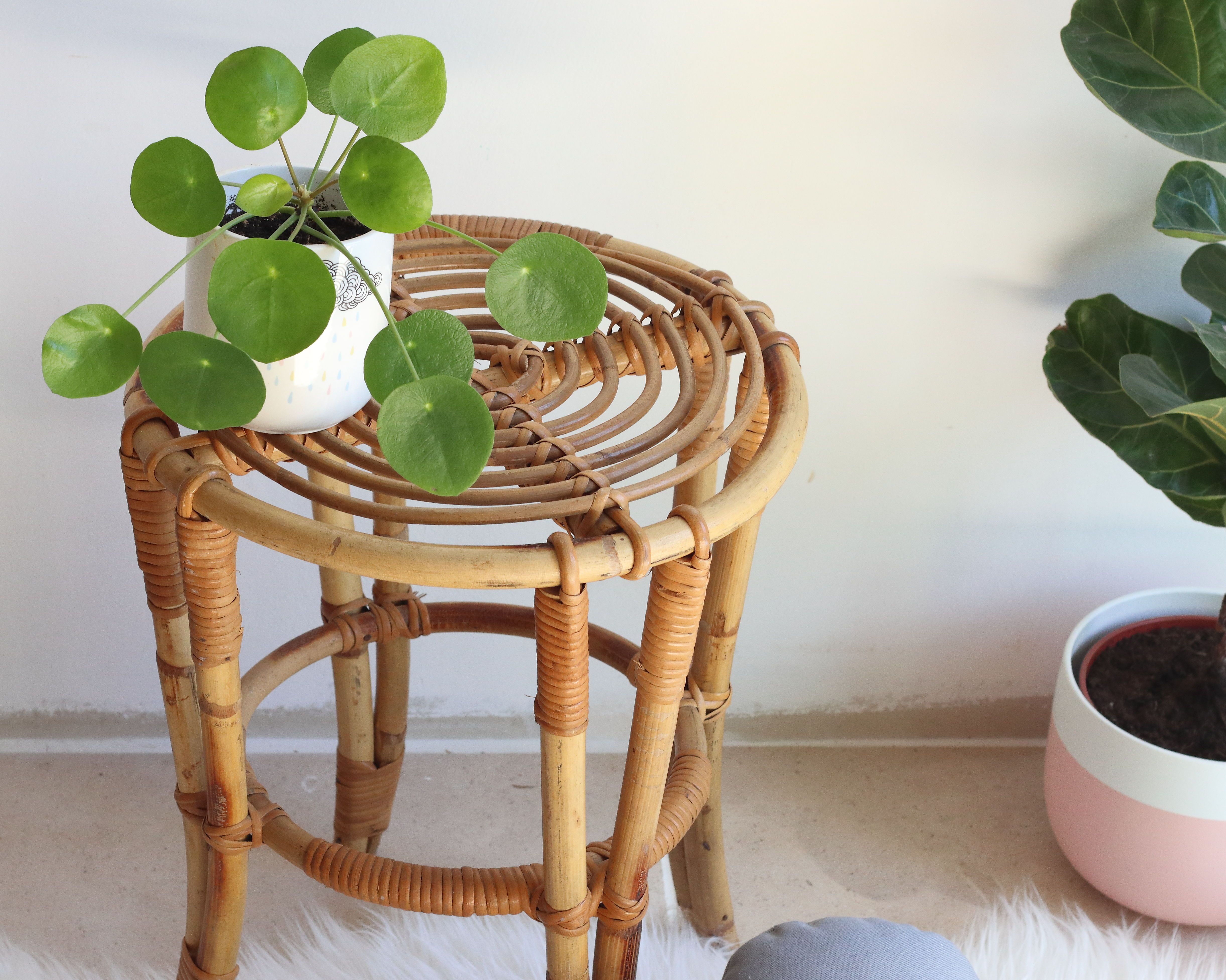 Stool-end of sofa-plant holder in rattan of years 60