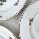 6 assiettes terre de fer salins modèle "anny" motif fleuris