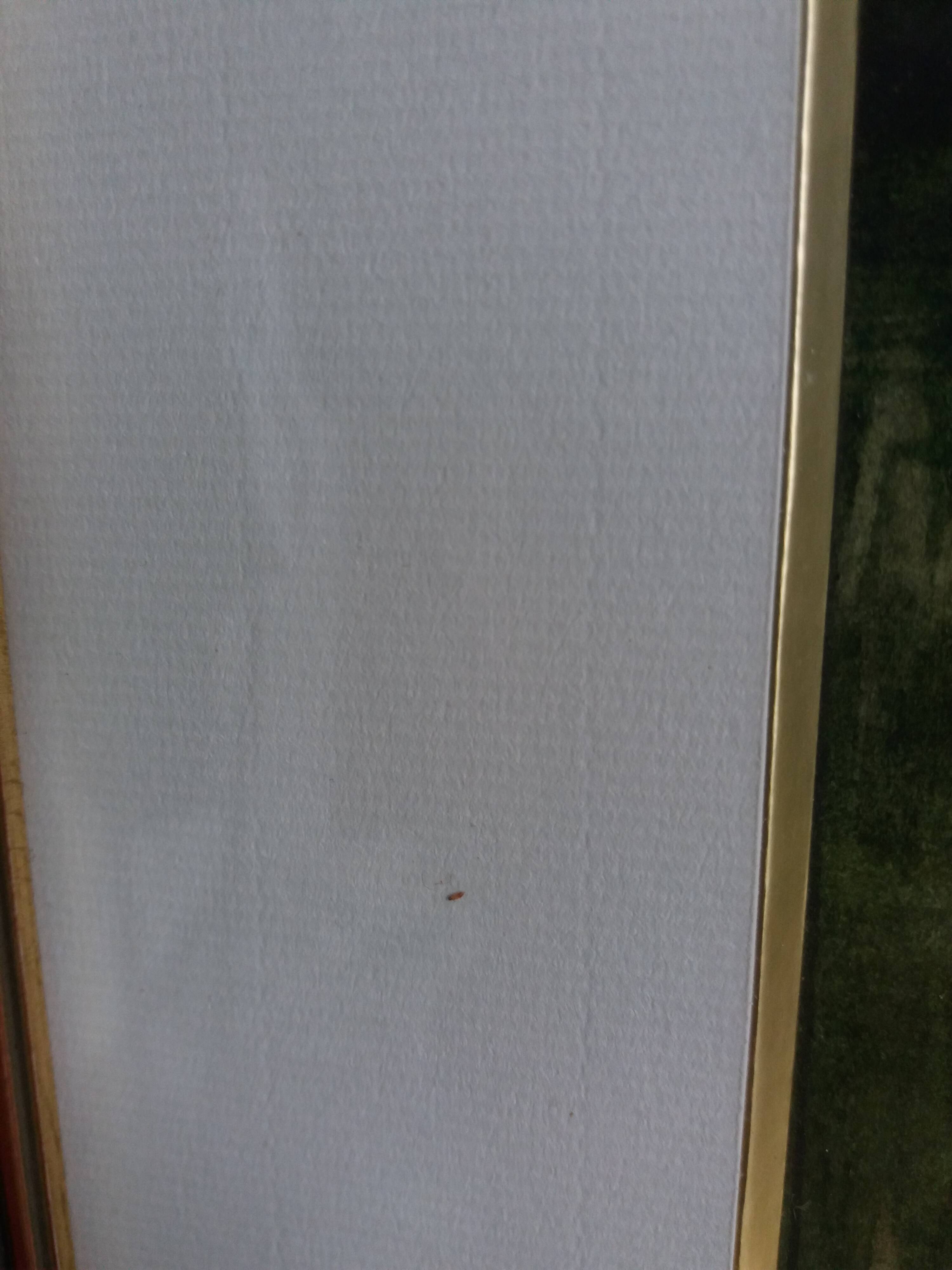 Signed painting, landscape, boat on river, Poitevin marsh