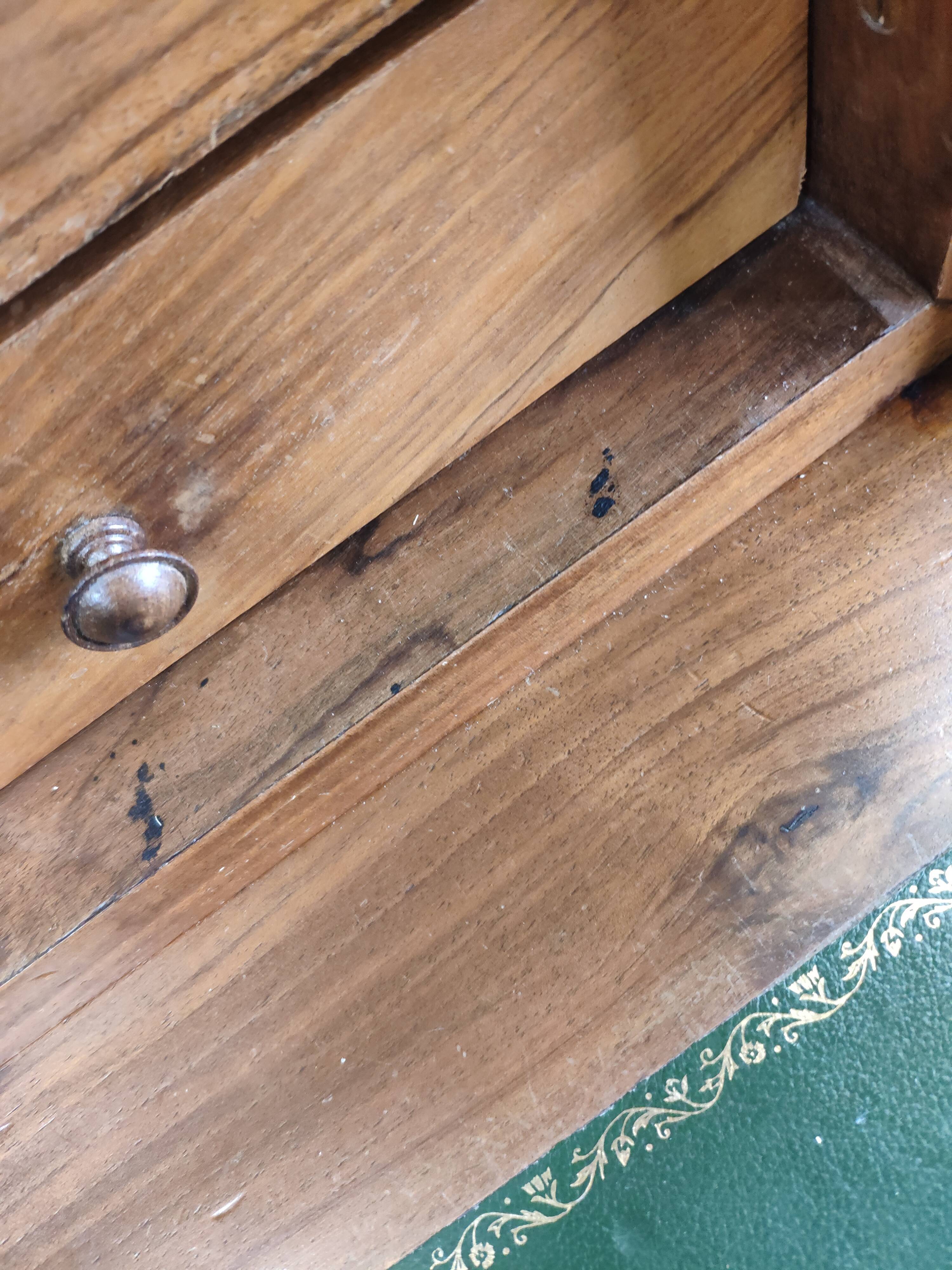 Secretary style Louis Philippe in walnut bramble