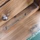Secretary style Louis Philippe in walnut bramble