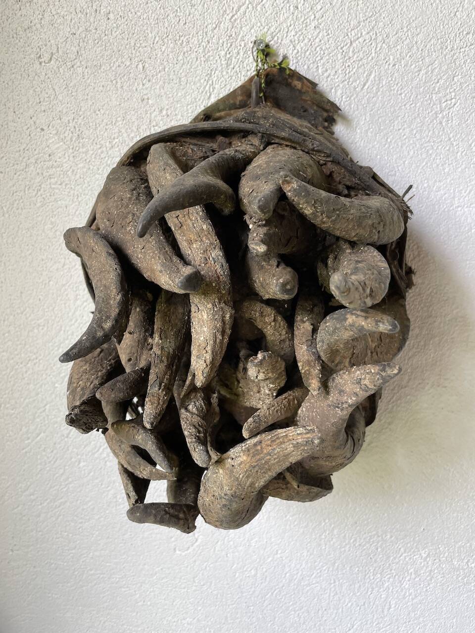 Bété Nyabwa mask Ivory Coast