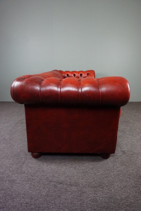 Chesterfield sofa 3 places in cowhide leather