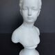 Biscuit bust of Houdon