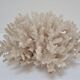 Buisson de corail blanc vintage