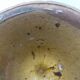Landais reset pot