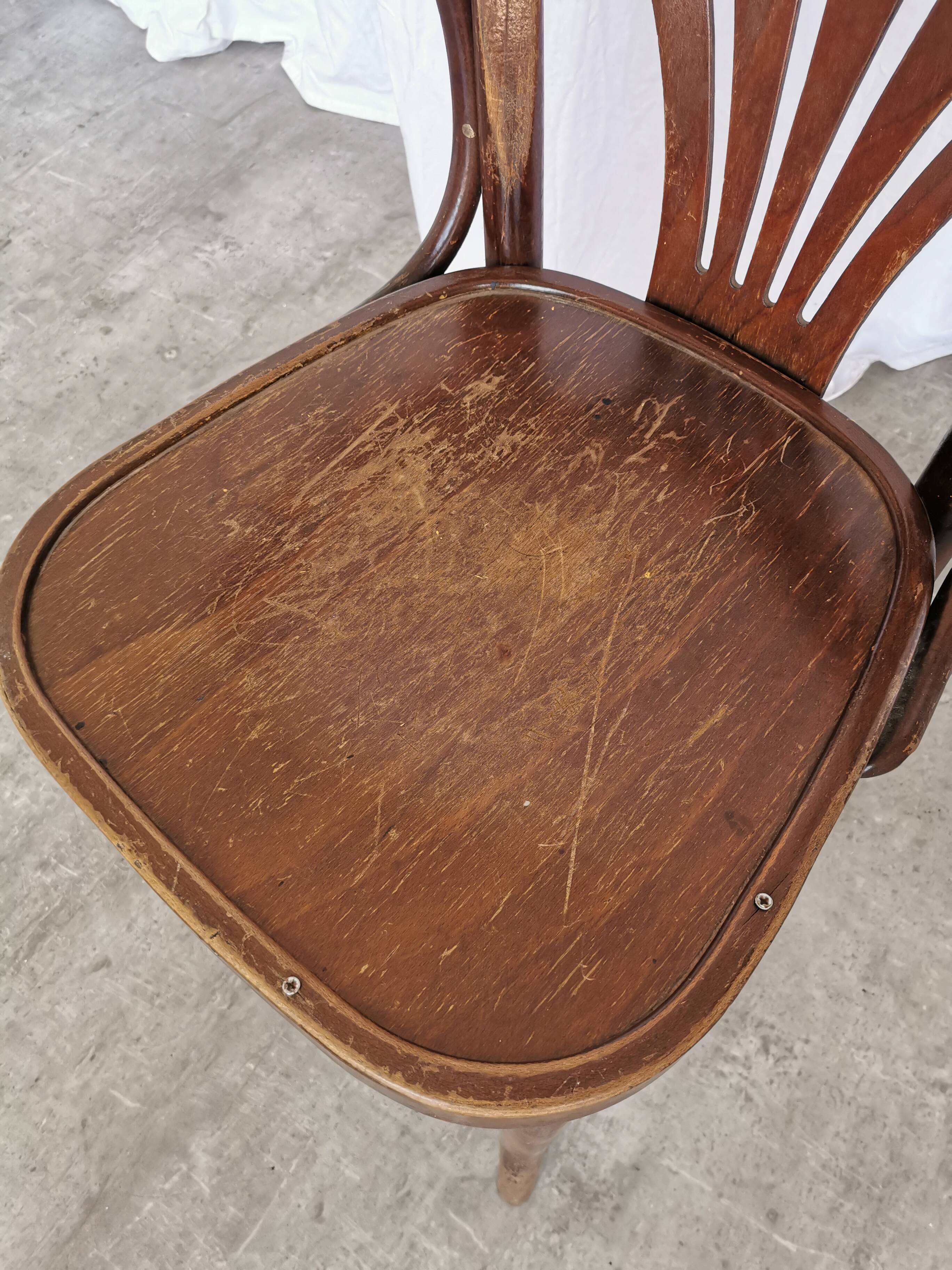 Chaise de salle à manger vintage en bois courbé : fauteuil style Thonet du milieu du siècle