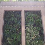 Old glazed door 211.5x105.5cm and its entrance door frame.