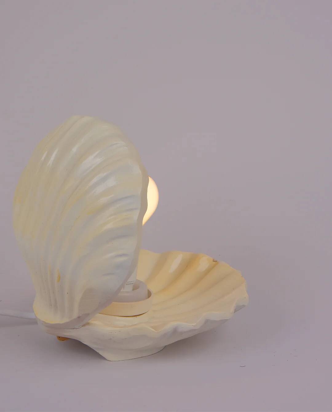 Scallop shell lamp