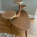 Table for plants 50s