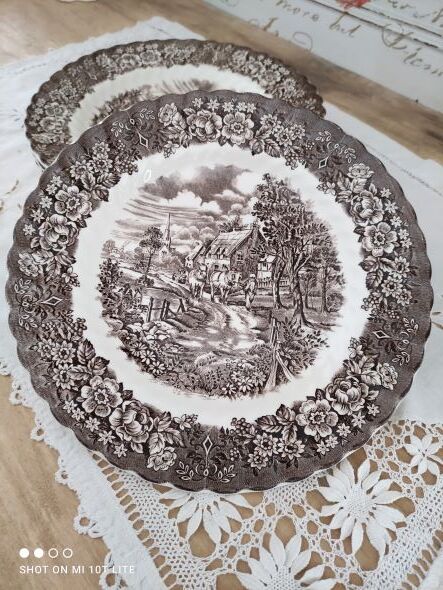 Set of 5 flat plates in English Iron Earth country decoration brown marli floral