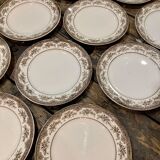 Lot 10 flat plates Onnaing