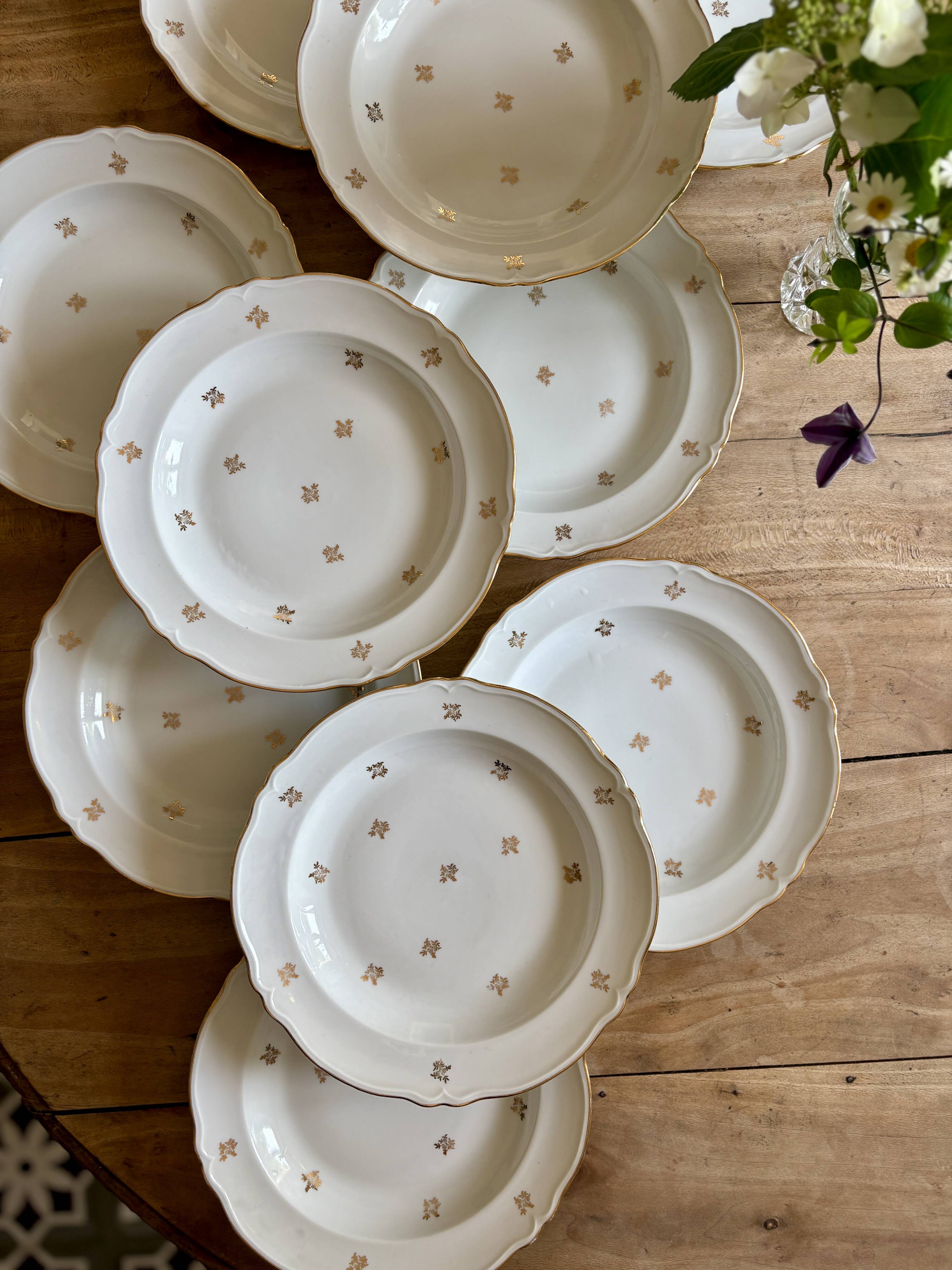 Set of 10 vintage Limoges porcelain soup plates